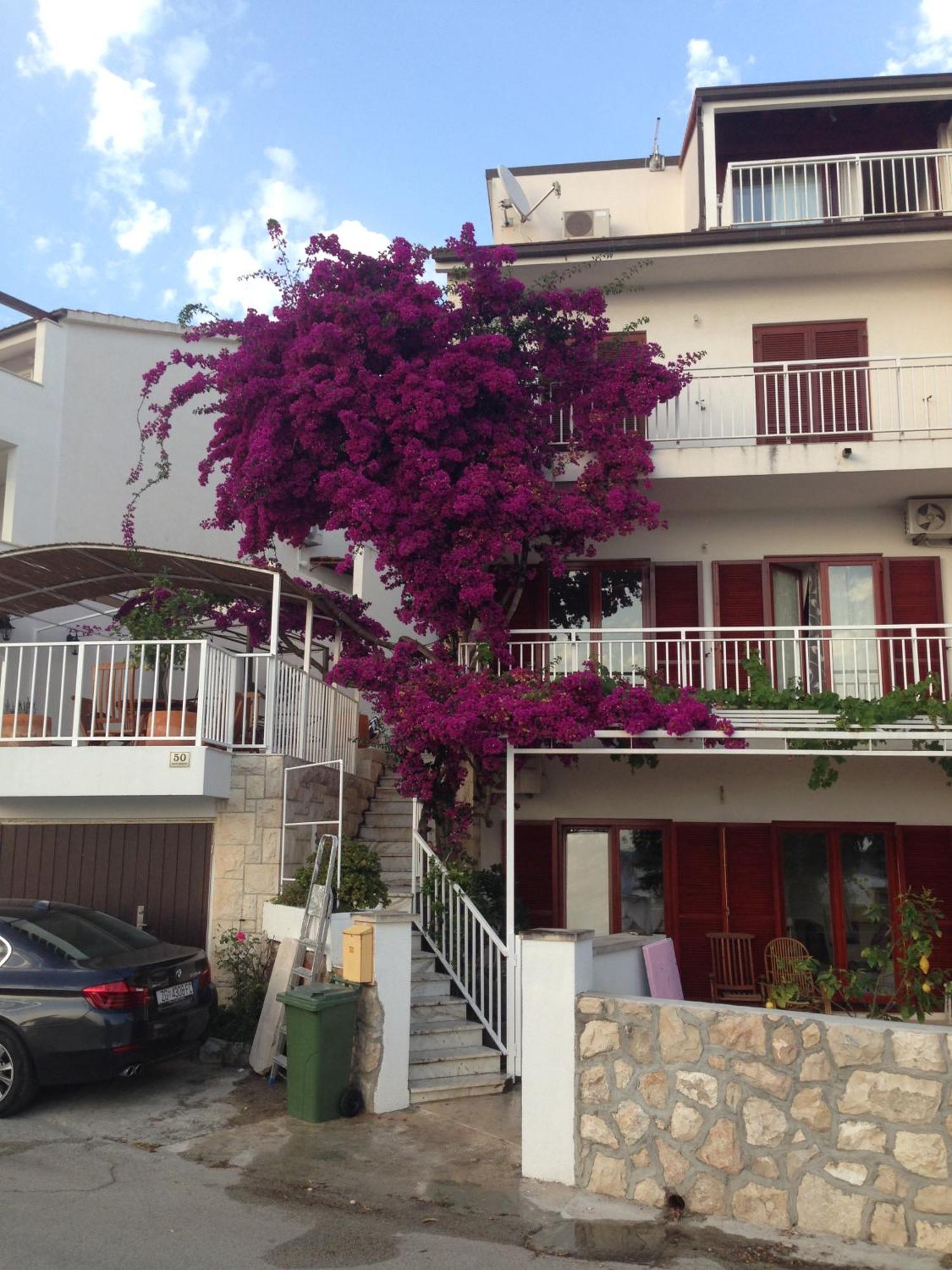 Apartment Duda هفار المظهر الخارجي الصورة
